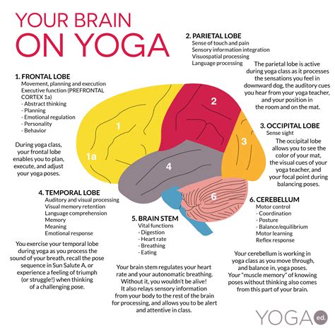 Your brain on yoga harvard medical school guides. - Illustrated theatre production guide second edition.