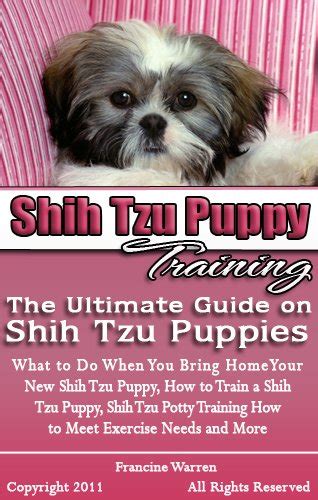 Your complete guide to shih tzu puppies. - Suzuki df90 df115 df140 außenborder 4 takt motor werkstatt service reparatur ergänzung handbuch.