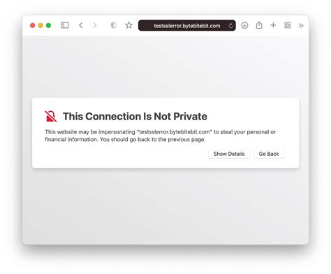 Your connection is not private mac fix