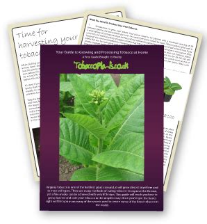 Your guide to growing and processing tobacco at home. - Cronica de las tres ordenes de santiago, calatrava y alcantara.