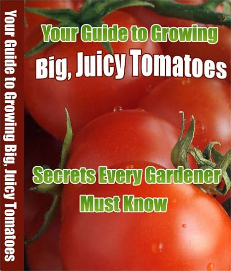Your guide to growing juicy tomatoes secrets every gardener must know. - 2008 infiniti m45 m35 owners manual.