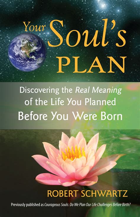 Download Your Souls Plan By Robert Schwartz