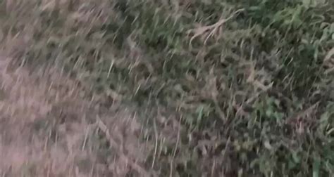 Yourdiamondvip Leaked 🍑 PORN