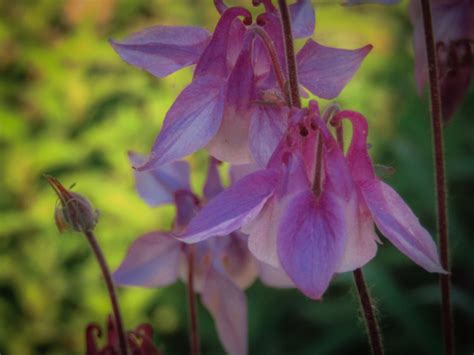 Yourfriendmila Onlyfans Leaked [PPV] 🔥