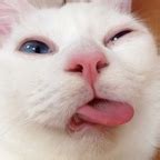 Yourgopnik Leaks [CLIP] 🍌 91 Pics