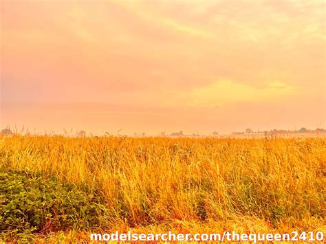 Yourqueen_P Leaks PORN 😈 144 Vids