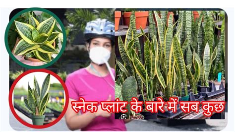 Yoursnake Onlyfans Leak [SEX VIDEO] 196 Videos