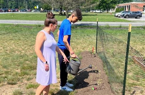 Youth on probation grow through gardening program
