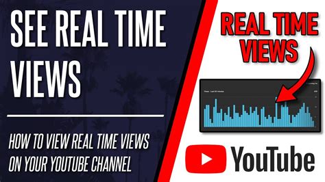 Youtube real views checker.  Paste a link, pick a result, and watch views refresh automati...