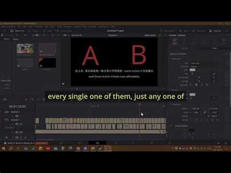 Youtube subtitles simultaneously.  Uses a standalone subtitle renderer that d...