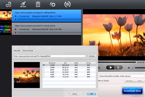 Youtube video downloader mac. In today’s digital age, YouTube has become one of the most popular platforms for sharing video content. With millions of videos uploaded every day, it’s crucial to optimize your vi... 