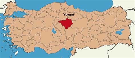 Yozgat Sefaatli En Yakin terapi halı yıkama