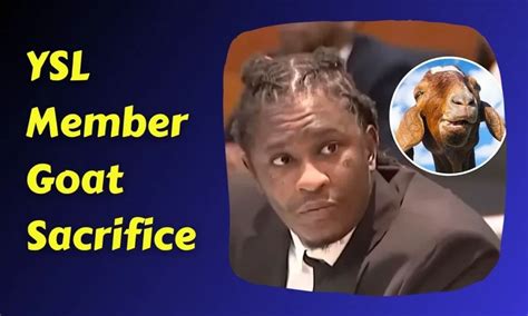 Ysl member goat sacrifice video. Young Thug Seen Cheesing In Court After A YSL Member's Screaming Got Everyone Taken Out In Handcuffs! 108,913. Apr 19, 2023. 383. Share. ... Young Thug’s YSL RICO Trial Started With The Music Video For “Lifestyle” By Rich Gang Playing In Court! 109,050. ... Young Thug's Attorney Wants Goat Sacrifice Excluded From Evidence ... 