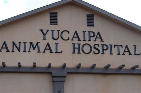 Yucaipa animal hospital. Visit Yucaipa Animal Hospital in Yucaipa! Your local Yucaipa Animal Hospital that will care and look after your pet family member. Contact us at 909-794-3118 to set up an appointment! 