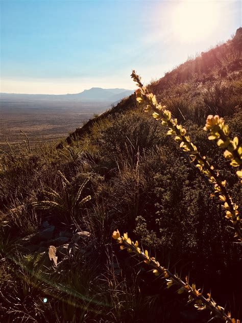 Yucca Canyon - National Park Service