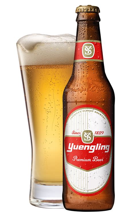 Yuengling premium. Yuengling Light maintains a well-balanced character of malt and hops for a crisp, satisfying finish with only 98 calories per serving. Drawing from traditional brewing techniques, our Light Beer is brewed longer to reduce the sugar content and produce fewer calories. Its pale golden color is complemented by a light bodied flavor. 