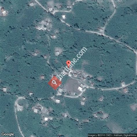 Yukariardic Halı ve Koltuk Yıkama