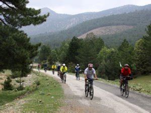 Yukaribeltarla Halı ve Koltuk Yıkama