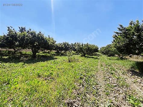 Yukaricobanisa Halı ve Koltuk Yıkama