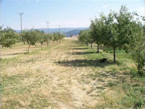 Yukariekecik Halı ve Koltuk Yıkama