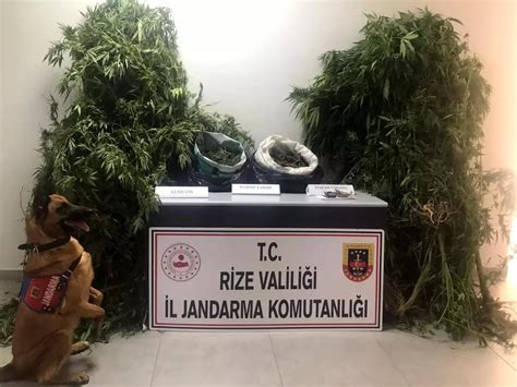 Yukariislahiye Halı ve Koltuk Yıkama