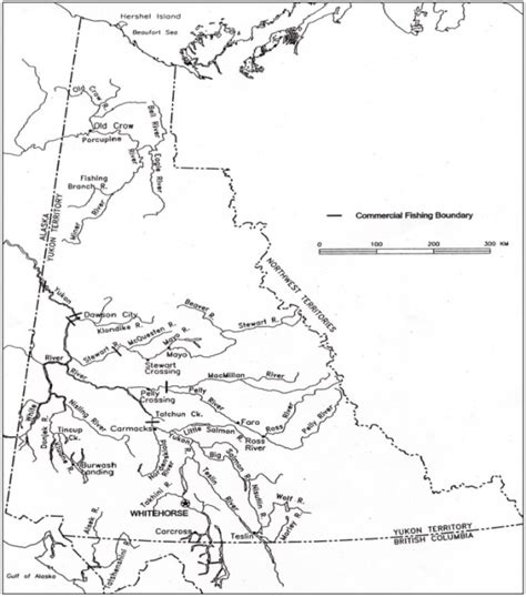 Yukon River chinook, fall chum and coho salmon integrated …