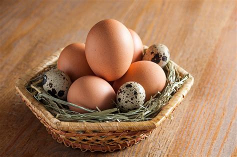 Yumurtas Halı ve Koltuk Yıkama