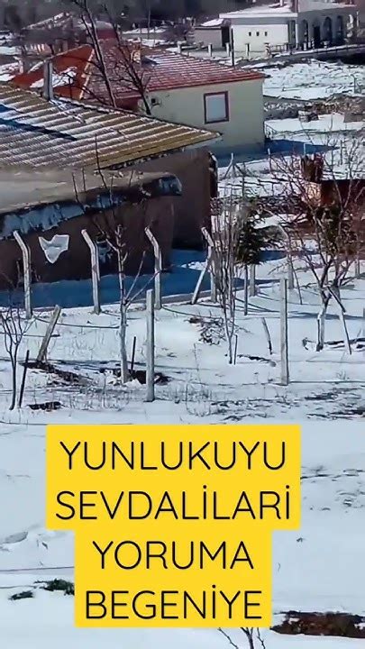 Yunlukuyu Halı ve Koltuk Yıkama