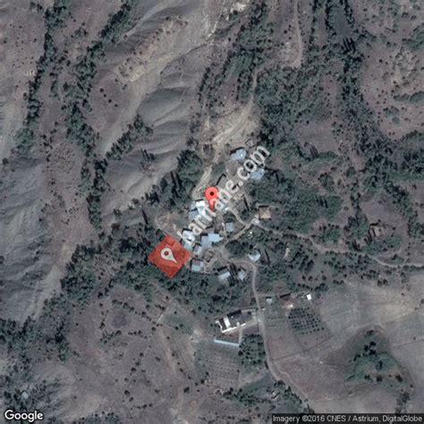 Yurektasi Halı ve Koltuk Yıkama