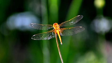 Yusufcuk Halı ve Koltuk Yıkama