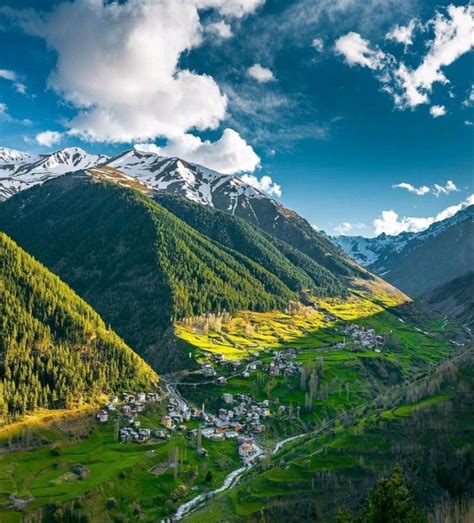 Yusufeli Halı ve Koltuk Yıkama