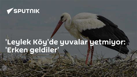 Yuvalar Listesi Komisyon Uyelerinin Goreve Alumaker Es