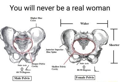 About. You will never be a woman (shortened to YWNBAW) is a meme phrase that turned into a full copypasta from 4chan and Reddit.The phrase is meant to demean trans women, who are seen as not real woman by TERFs and those on /pol/.. Origin. The phrase started to see use on 4chan in March of 2011, with … See more. 