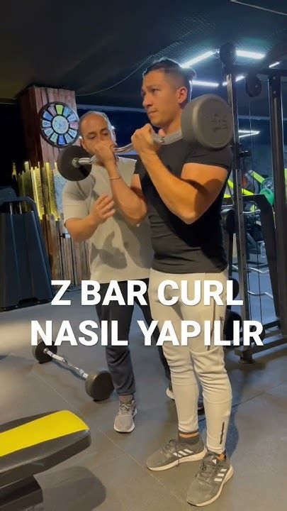 Z BAR CURL NASIL YAPILIR YouTube. 