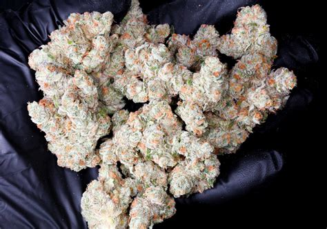 The Zours strain of cannabis is an Indica-dominant hybrid (70% Indica and 30% Sativa). Featuring dense, small to medium-sized nugs, it provides between 14% to 18% THC and less than 1% CBD. The sweet taste and flowery aromas are pleasant, and the effects last approximately two to four hours. In this Zours strain review, we'll go over all of .... 
