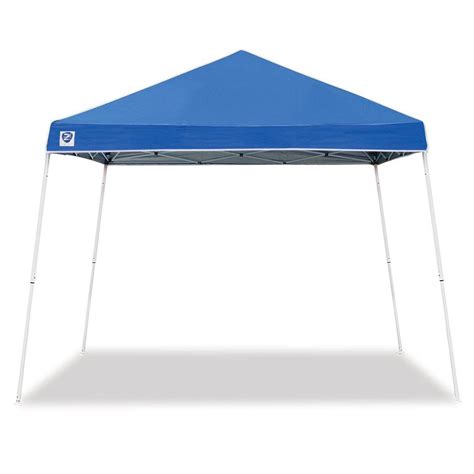 49-96 of 327 results for "z shade canopy 10x10" Results ABCCANOPY Replacement Canopy Top for Pop Up Canopy Tent (10x10, White) Fabric 2,897 300+ bought in past month $7895 List: $90.95 FREE delivery Thu, Aug 3 …. 