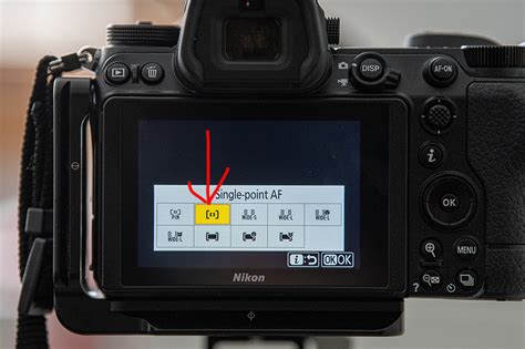 Z6II: Best autofocus settings for moving objects - balustradellc