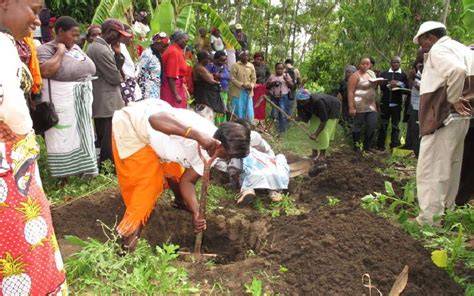 Zai pits innovation helps farmers outsmart climate change - raincitystudios.com