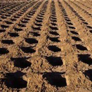 Zai Pits System: A Catalyst for Restoration in the Drylands - raincitystudios.com