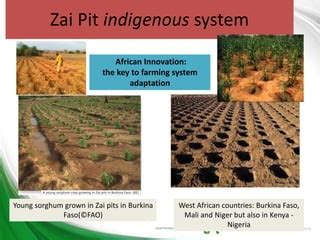 ZAI- PITS Technology for sustainable agriculture and Food security in ... - raincitystudios.com