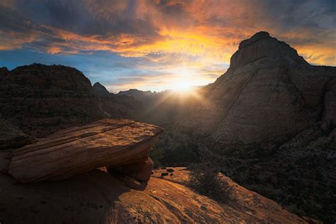 Zebra Setting: What is It and When to Use It - Adorama - balustradellc