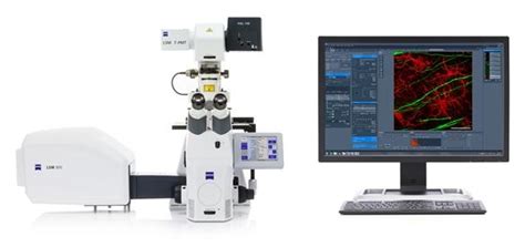 ZEISS Introduces LSM 800 with Airyscan