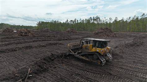 Zero burning land clearing techniques - EurekaMag - raincitystudios.com