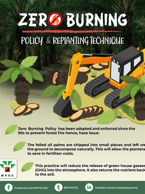 Zero Burning Policy And Replanting – MPOC - raincitystudios.com