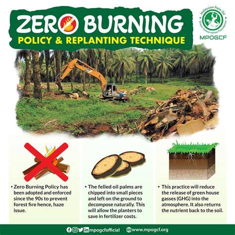 zero burning techniques in oil palm cultivation: an... - raincitystudios.com