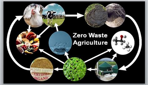 Zero waste agriculture - raincitystudios.com