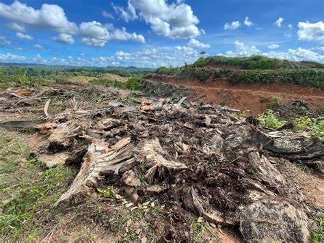 Zero-burning: A practice for sustainable future - raincitystudios.com