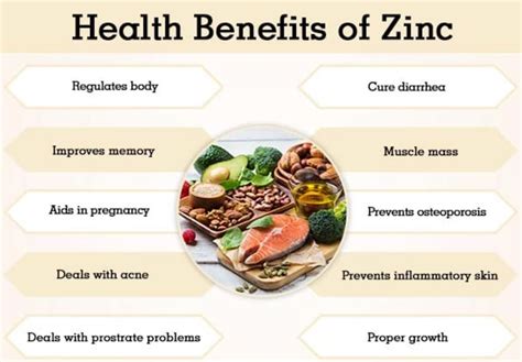Zinc: Benefits, sources, and side effects - Medical … - balustradellc