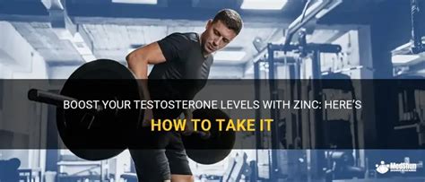 Zinc and Testosterone: How This Essential Mineral … - balustradellc
