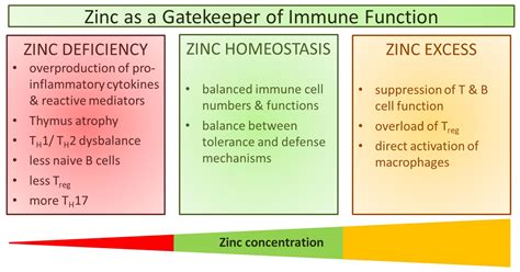Zinc as a Gatekeeper of Immune Function - PMC - muktibox.com